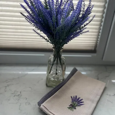 Διαμέρισμα Atk T1 Airport Bus Station Ταλίν